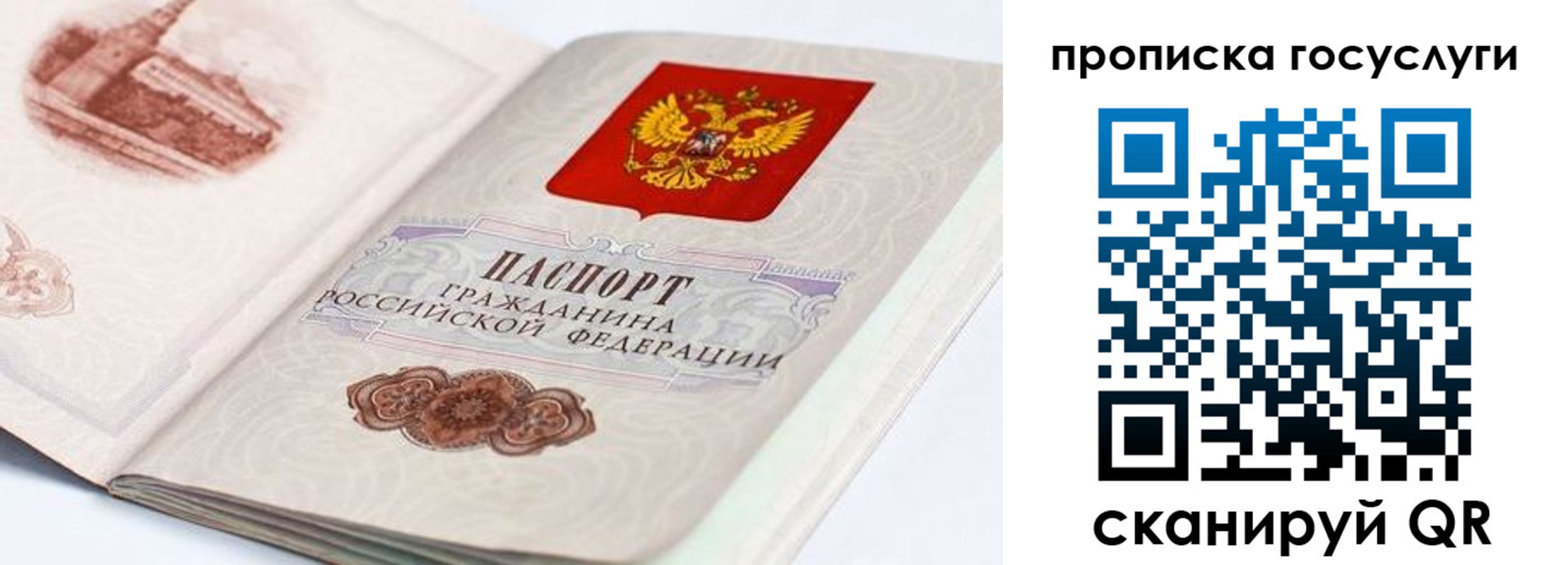 прописка гарантия в Советской Гавани